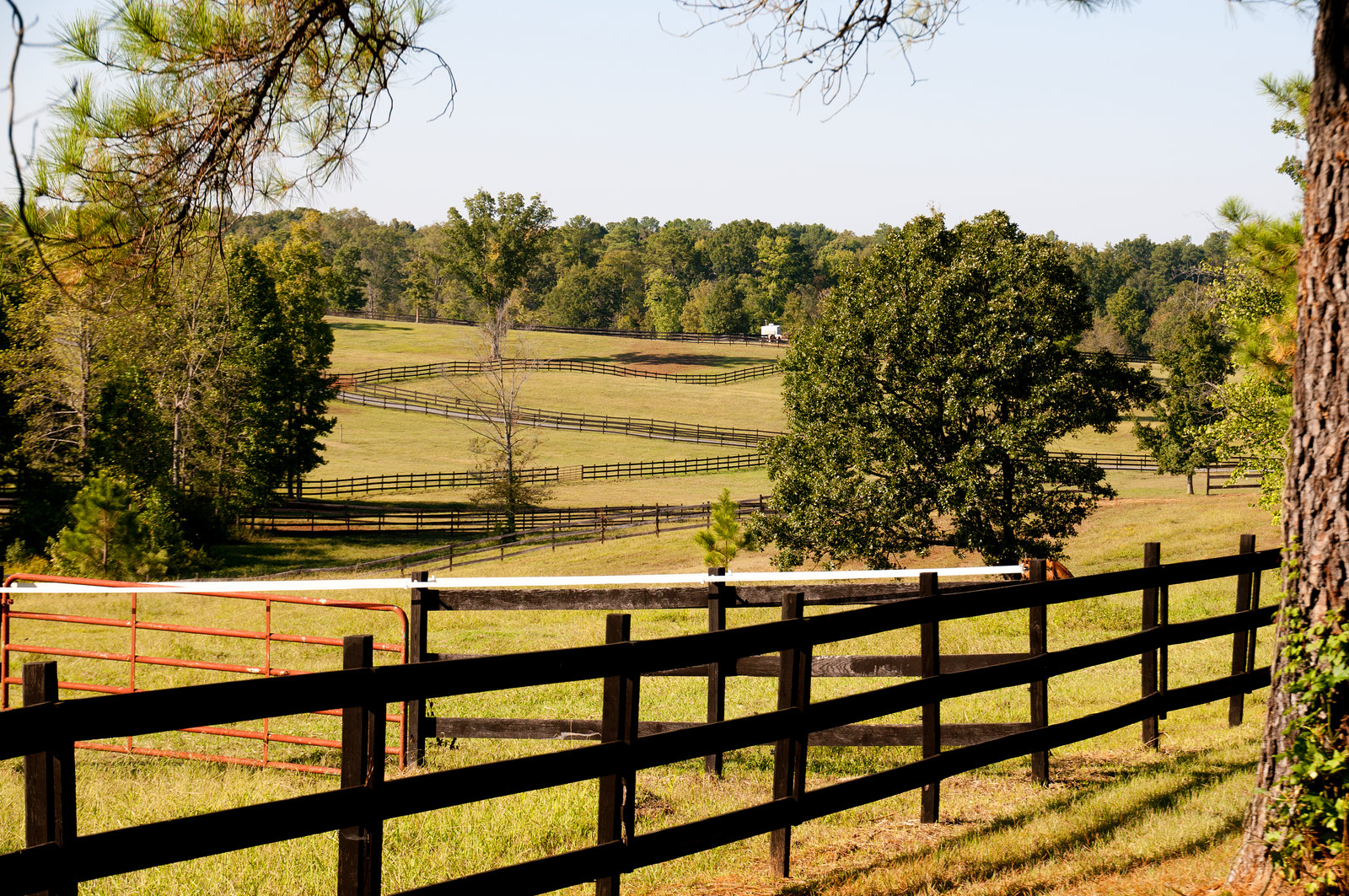 Scenic ranch landscape with wooden fence